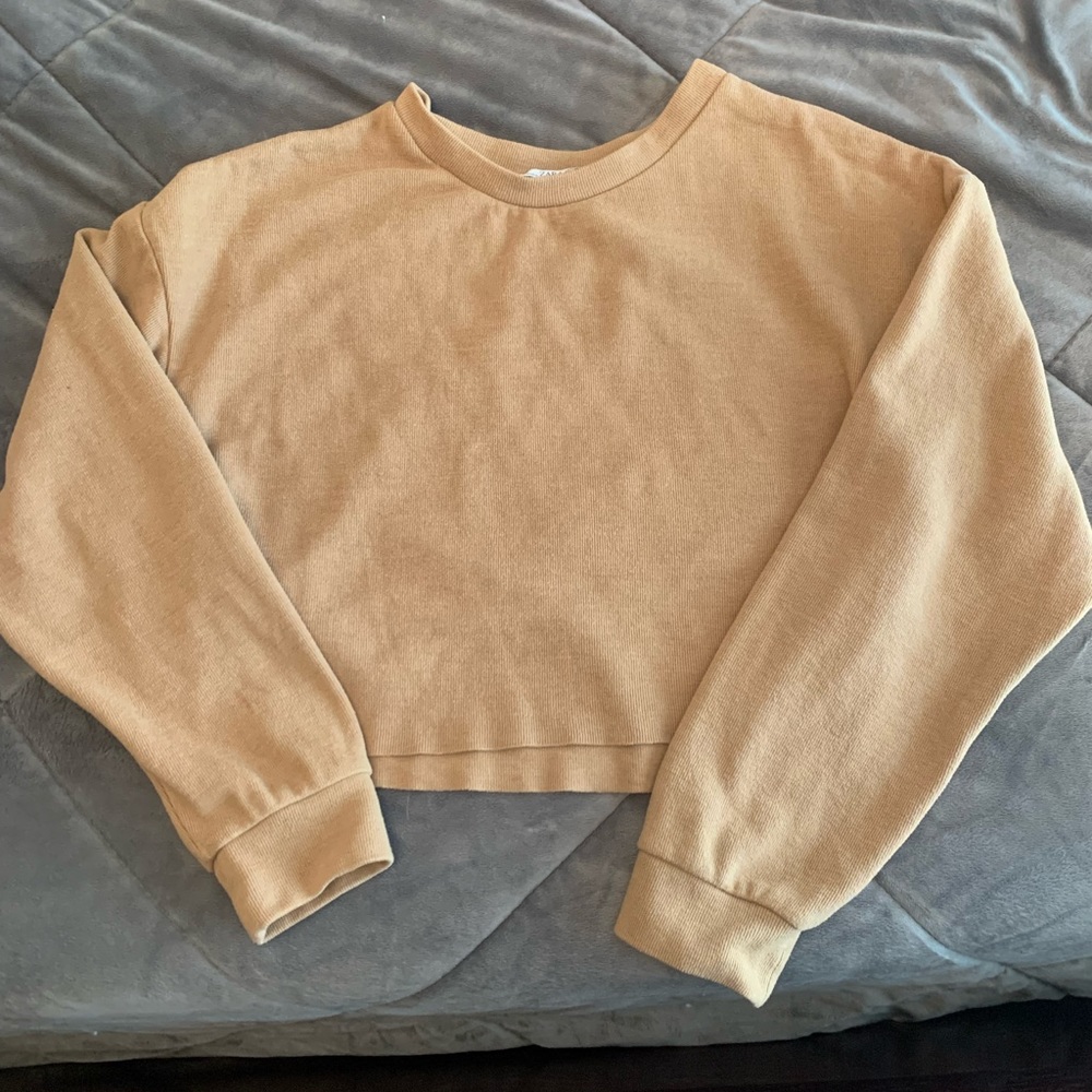 Zara cropped top